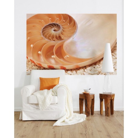 Fototapet Cochilie Nautilus - decorare