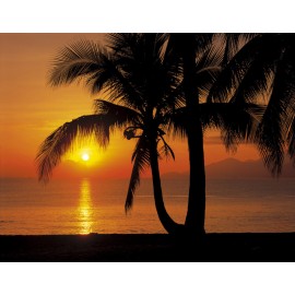 Fototapet Plaja Maldive la rasarit