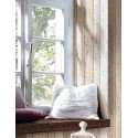 Tapet Lemn Shabby Chic bej