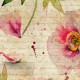 Fototapet Bujori Shabby Chic - detaliu