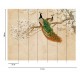 Fototapet exotic cu pauni si magnolii - dimensiuni