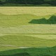 Fototapet Peisaj pictat pe caramida - detaliu