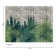 Fototapet Padure pictata pe piatra - dimensiuni