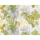Fototapet Jungla exotica Monstera