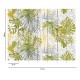 Fototapet Jungla exotica Monstera - dimensiuni