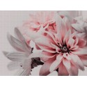Fototapet living Flori roz