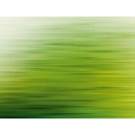 Fototapet verde - Reflexia padurii