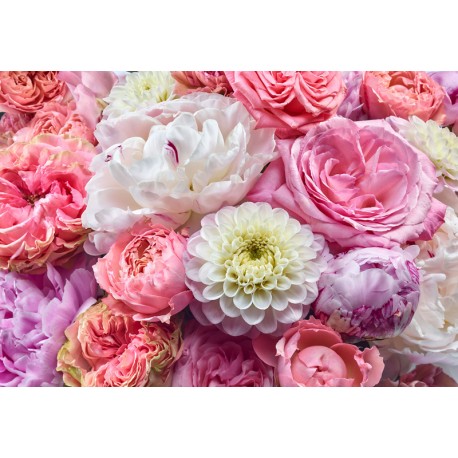Fototapet Flori multicolore