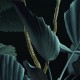 Fototapet Jungla noaptea - detaliu