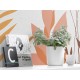 Fototapet design Plante tropicale - decorare