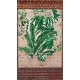 Fototapet vintage Plante tropicale