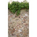 Fototapet Perete rustic din piatra