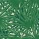 Tapet Plante tropicale verzi