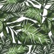 Autocolant decorativ Plante exotice