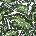 Autocolant decorativ Plante exotice