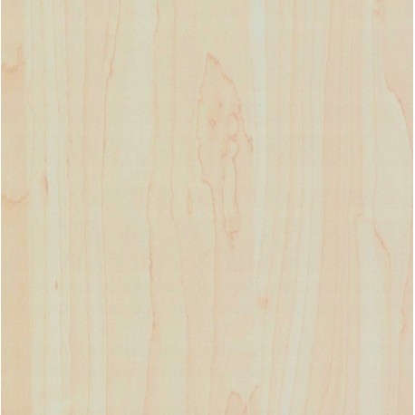 Autocolant Lemn Artar 67 cm