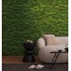 Fototapet Licheni decorativi