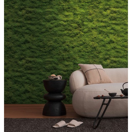 Fototapet Licheni decorativi