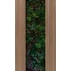 Fototapet riflaj Plante exotice