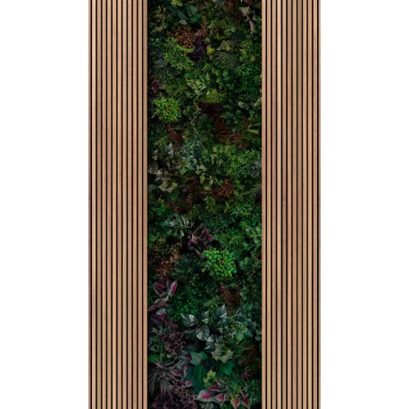 Fototapet riflaj Plante exotice