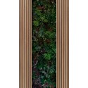 Fototapet riflaj Plante exotice