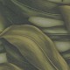 Tapet Jungla tropicala Monstera