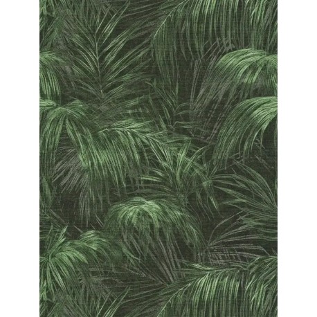 Tapet texturat Trestii negru-verde