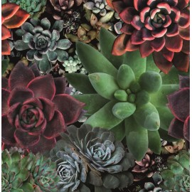 Fototapet floral multicolor Smart Art