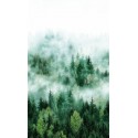 Fototapet Padure in ceata Smart Art