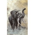 Fototapet Elefant african Travertino