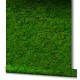 Tapet Licheni decorativi UTD Marburg 34864