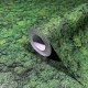 Tapet Licheni decorativi UTD Marburg 34864
