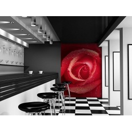 Fototapet floral WG 00368 183x254 cm