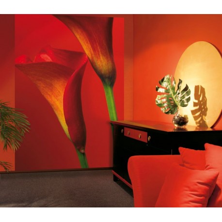 Fototapet floral WG 00406 183x254 cm