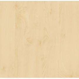 Autocolant furnir Mesteacan 67cm