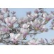 Fototapet Magnolii