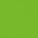 Autocolant Verde Apple RAL 6018 lucios 45 cm