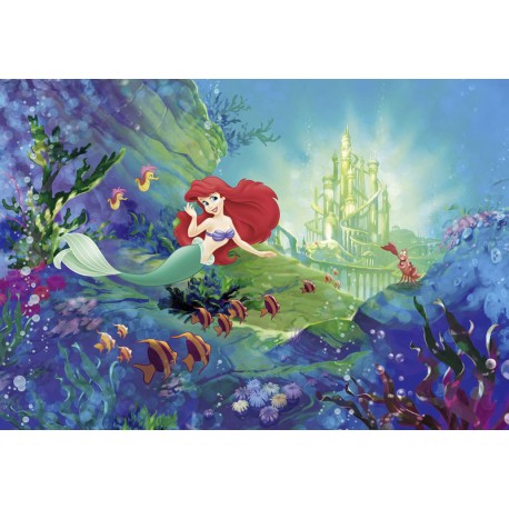 Fototapet Ariel - Castelul sirenei