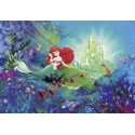 Fototapet Ariel - Castelul sirenei